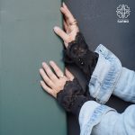 ساق دست لاله