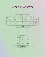 کت و دامن جین - Image 6