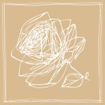 روسری نخ پنبه رزا - Image 3