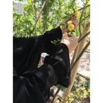 چادر الماس کارشده (مروارید) - Image 2