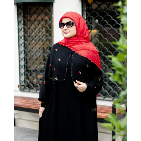 عبا اصیل - تصویر 7
