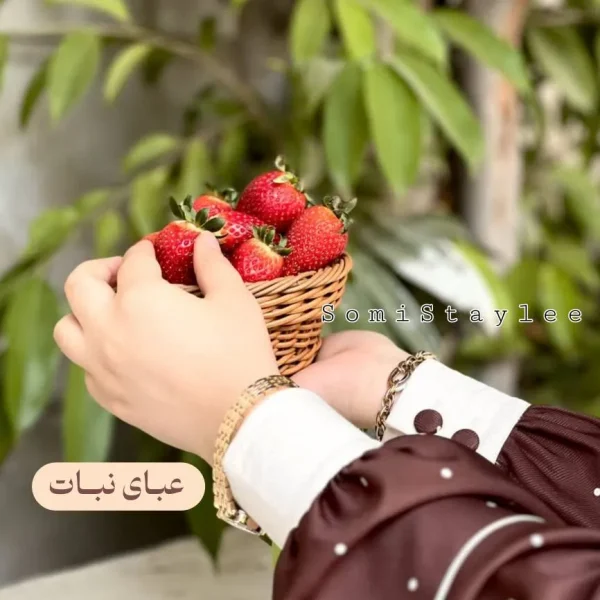 شومیز نبات - Image 2
