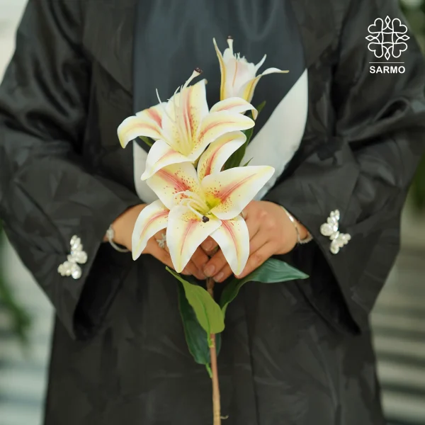 عبا مجلسی ژاکارد پروانه - Image 10