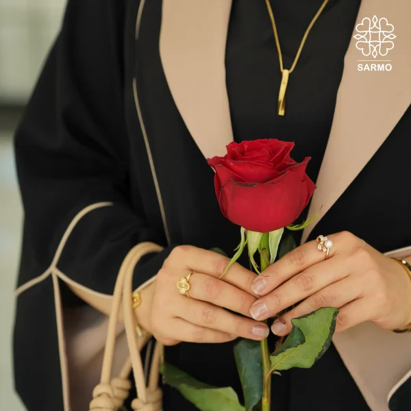 عبا مجلسی مروی جت آوازه - Image 9