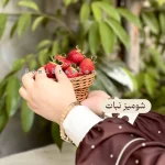 شومیز نبات - Image 8