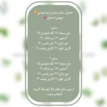 شومیز نجلا نگین نقره ای - Image 4