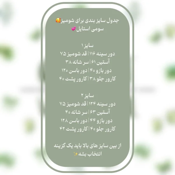 شومیز نجلا نگین نقره ای - Image 4
