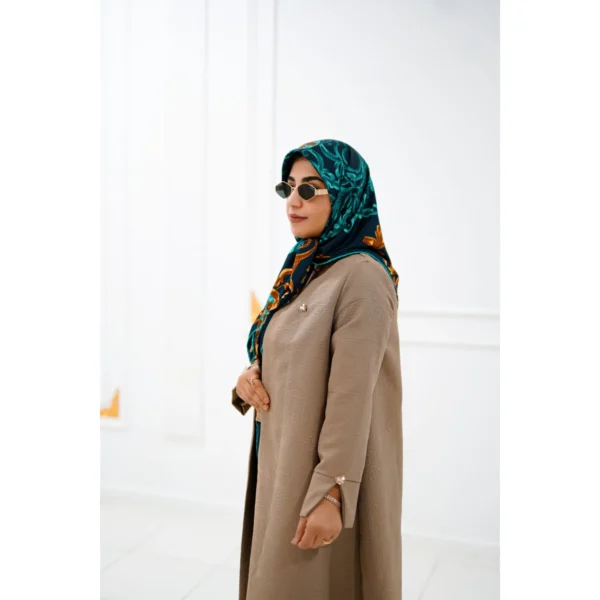 عبا شبنم - تصویر 2